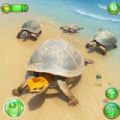 Wild Turtle Family Simulator apk Download