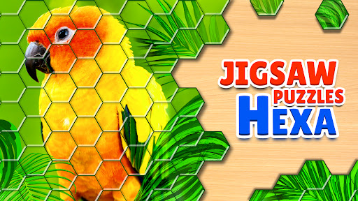 Jigsaw Puzzles Hexa apk download latest versionͼƬ1