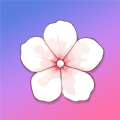 Sakura Chat with AI Bots apk latest version download