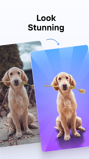 PhotoRoom AI Photo Editor Mod Apk Premium Unlocked Latest Version  4.7.8 screenshot 1