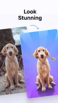 PhotoRoom AI Photo Editor Mod Apk Premium Unlocked Latest Version v4.7.8 screenshot 1