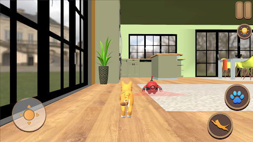 Cat Quest Kitty Simulator 3D apk download for android