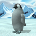 Penguins raised from chicks apk Download