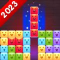 Kawaii Block Puzzle Cute Brick mod apk download