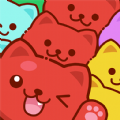 Cat Jam Match Puzzle Game