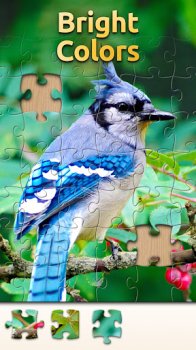 Vita Jigsaw for Seniors Apk Download Latest Version v1.1.8 screenshot 1