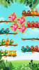 Bird Sort Relaxing Puzzle apk download for android v1.1.1 screenshot 1