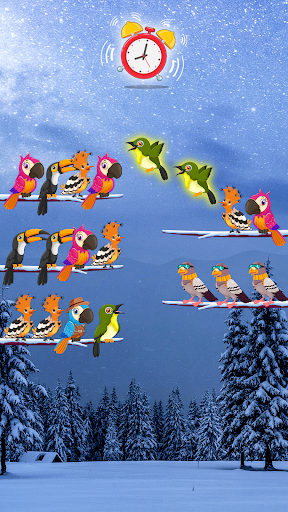 Bird Sort Color Budgie Puzzle apk download