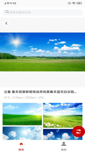 白鸽壁纸软件下载最新版