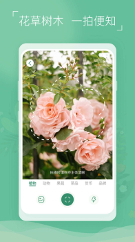 植物识别宝app安卓版 v1.0.2 screenshot 4