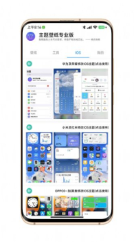 汇飞主题壁纸专业版app手机下载 v1.0.0 screenshot 3