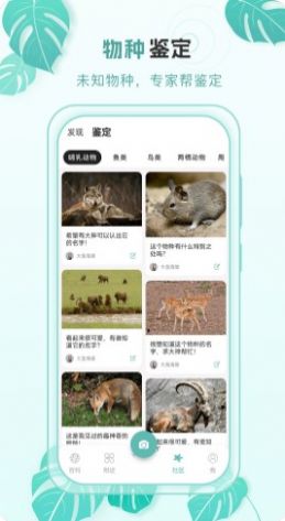 百科物语手机版app下载