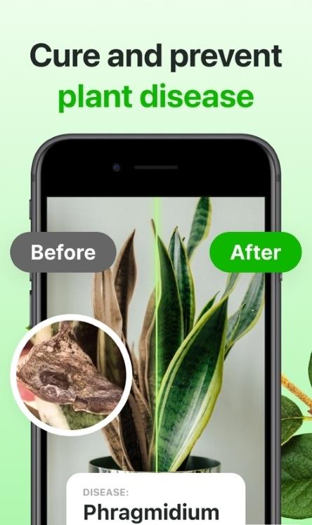 Florae植物养护app手机版下载