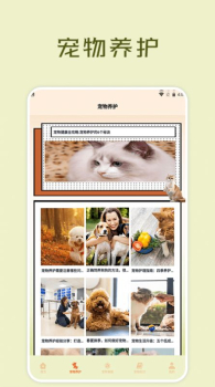 宠物小组件盒子最新版app官方下载 v1.1 screenshot 2