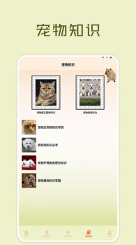 宠物小组件盒子最新版app官方下载 v1.1 screenshot 3