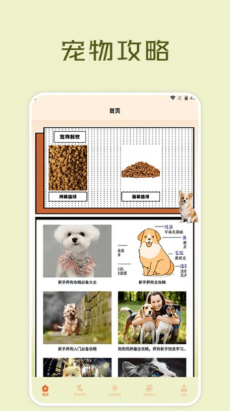 宠物小组件盒子最新版app官方下载
