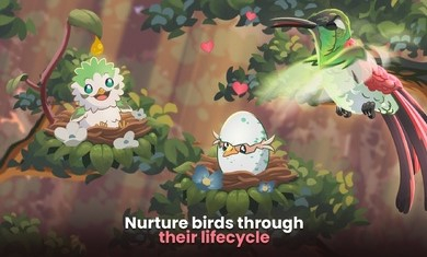 鸟类世界游戏最新版下载（Bird kind）
