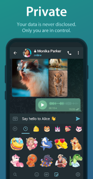 Telegram 10.0.8 Apk v10.0.8 screenshot 3