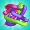 Twisted Snakes Tangle Master game apk