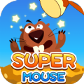 Super Mouse Game