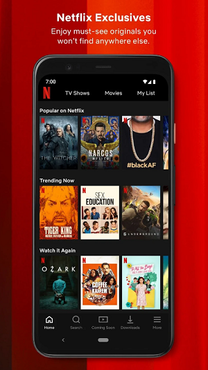 Netflix appͼƬ1