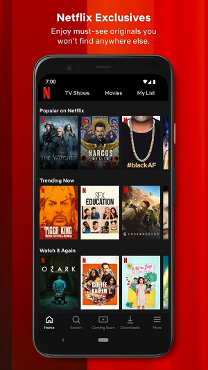Netflix app