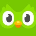 Duolingo Language Lessons App