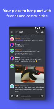 Discord app v196.16 - Stable screenshot 2