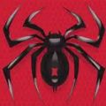 Spider Solitaire Game Free Download