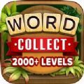 Word Collect Mod Apk Download