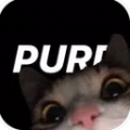 purp App Download Apk for Android