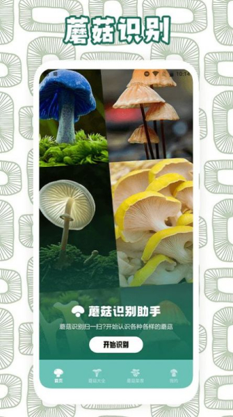 蘑菇识别助手app下载官方版