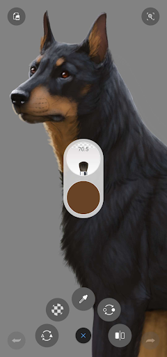Sketchbook mod apk 6.0.6 latest version