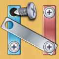 Screw Pin Puzzle Nuts & Bolts mod apk no ads