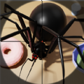 Bug Buster Spider Games apk download for android