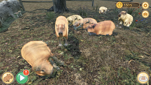 Capybara Zoo mod apk unlimited money latest version