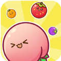 Fruit Merge Master mod apk no ads latest version