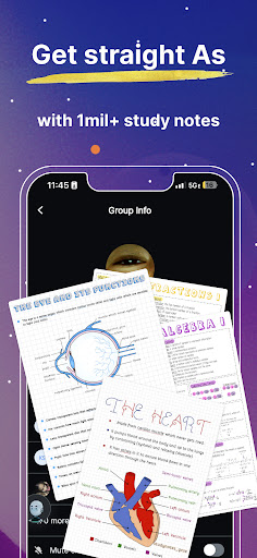 Knowunity Mod Apk Premium Unlocked Latest Version