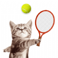 Cat Meow Tennis Sport Battle apk download for android