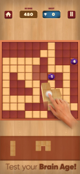 WoodLuck Wood Block Puzzle apk download for android v1.0.15 screenshot 3