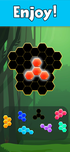 Hexa Block Puzzle apk mod no ads downloadͼƬ1