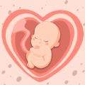 HiMommy Pregnancy Tracker App download latest version