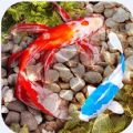 Fish Tank Live Wallpaper mod apk latest version