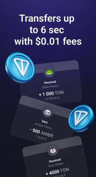 Tonhub wallet apk download latest version v2.0.1 screenshot 2