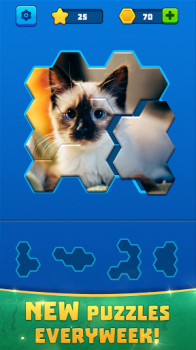 Hex Block Jigsaw mod apk unlimited money v2.0.4 screenshot 5