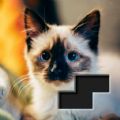 Block Square Jigsaw Puzzle mod apk unlimited money