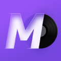 MD Vinyl Mod Apk Premium Unlocked