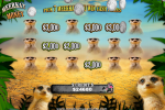 Flamingo Safari Slots Apk Download Latest Version v12.0 screenshot 3