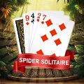 Spider Solitaire Cards Game