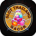 Slot Gacor Server Thailand Apk Download Latest Version